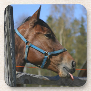 Posavasos Astras de caballos divertidas