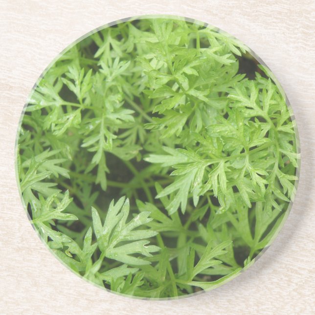 Posavasos Astras De Carrot Tops (Frente)
