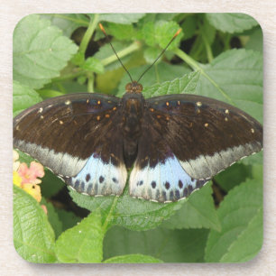 Posavasos Astras de corcho de mariposa tropical bonito