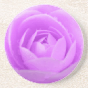 Posavasos Astras de flores moradas de Camellia