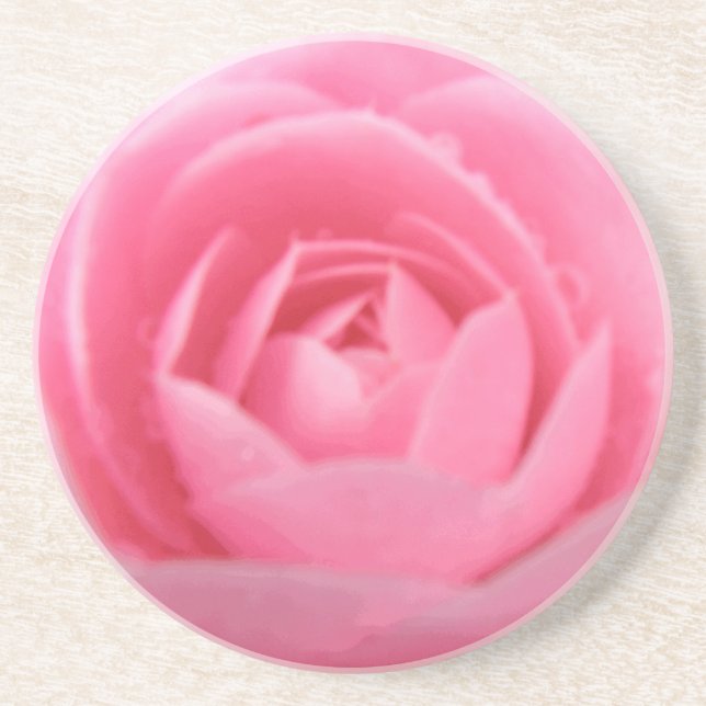 Posavasos Astras de flores rosadas de camellia (Frente)
