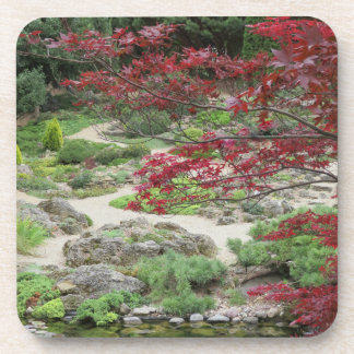 Posavasos Astras de los Jardín de Otoño