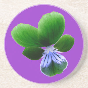 Posavasos Astras de Pansy Verdes