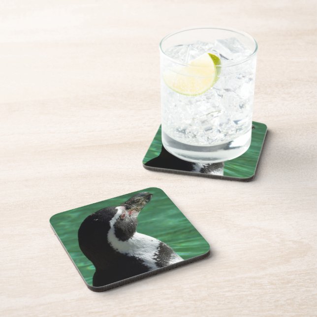 Posavasos Astras de pingüino (Lado Derecho)