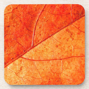 Posavasos Astras de plástico duro de hojas de otoño