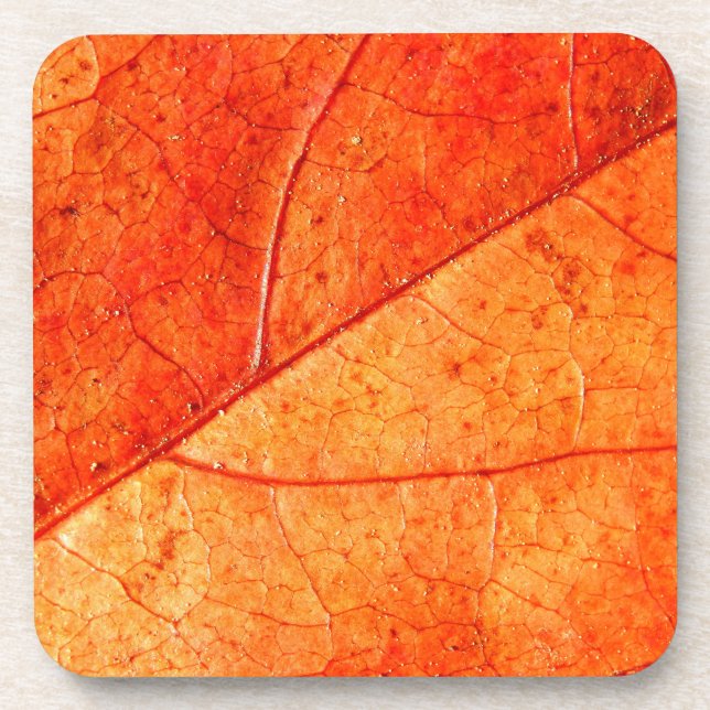 Posavasos Astras de plástico duro de hojas de otoño (Frente)