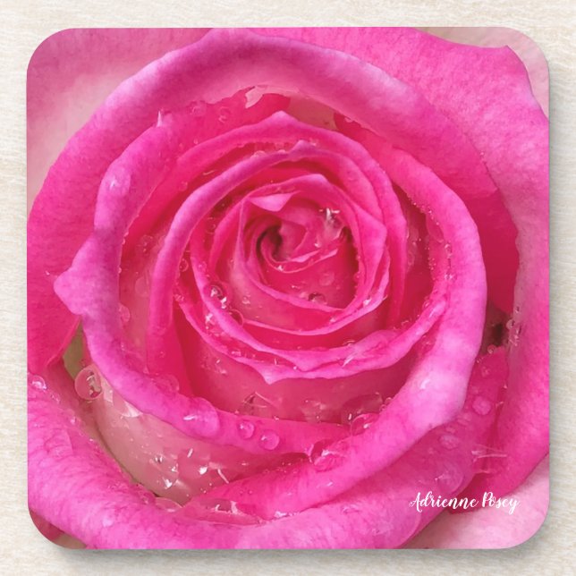Posavasos Astras de Rosa rosadas calientes (Frente)