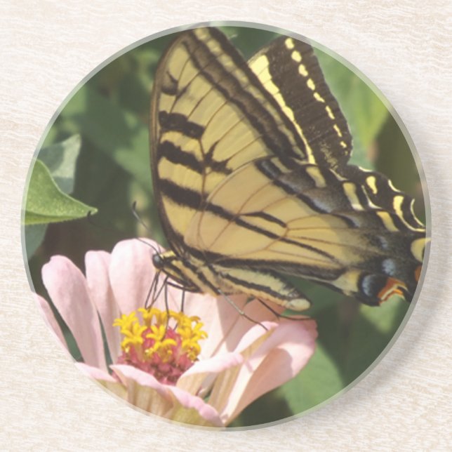 Posavasos Astras florales de mariposa y rosa (Frente)