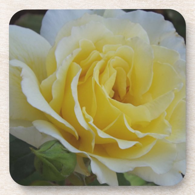 Posavasos Astras rojas blancas y amarillas (Frente)