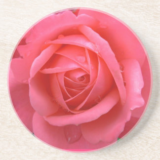Posavasos Astras rosadas de rosas regalos rosas rosas de reg