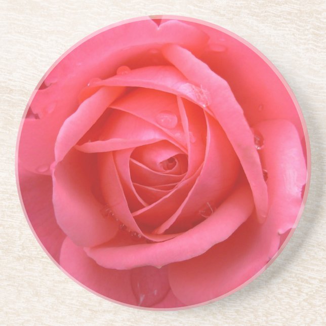 Posavasos Astras rosadas de rosas regalos rosas rosas de reg (Frente)