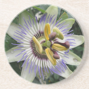 Posavasos Ataques de flores de pasión