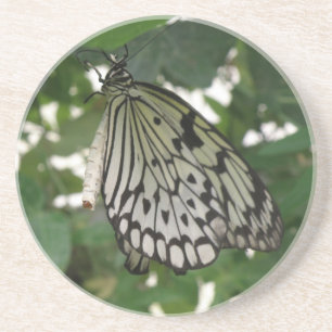Posavasos Ataques de mariposa de cometa de papel tropical