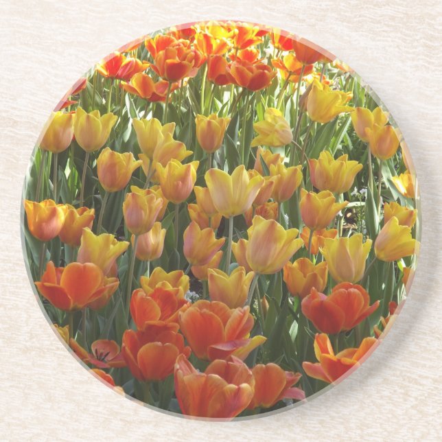 Posavasos Ataques de tulipano (Frente)