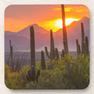Posavasos Atardecer de cactus del desierto, Arizona