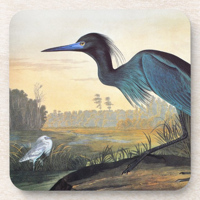 Posavasos Audubon: Garza de pequeño azul (Frente)