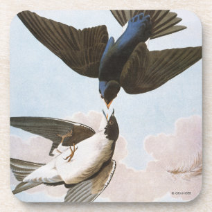 Posavasos Audubon: Trago de árbol