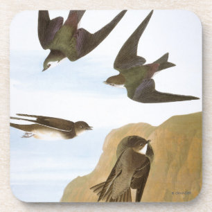 Posavasos Audubon: Tragos