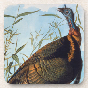 Posavasos Audubon: Turquía salvaje