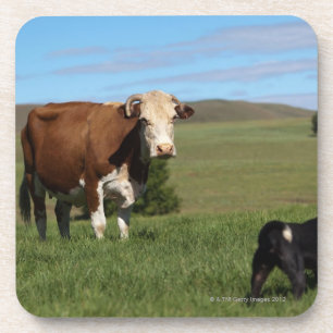 Posavasos Aunque las vacas y los perros sean de diferente