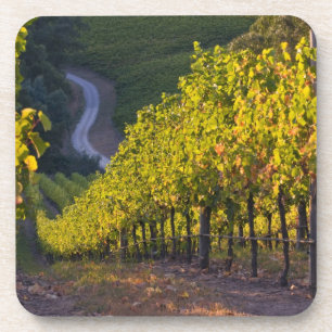 Posavasos Australia Meridional, Adelaide Hills, Summertown.