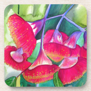 Posavasos Australian red flowering gumnuts watercolor art