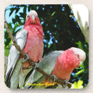 Posavasos Australiano Galah - Cockatoo rosado