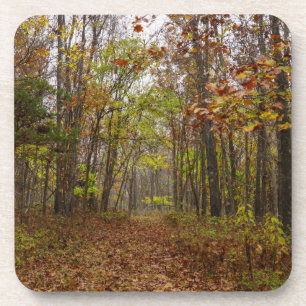 Posavasos Autumn Bliss