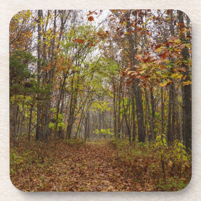 Posavasos Autumn Bliss (Frente)