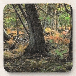 Posavasos Autumn forest scene           