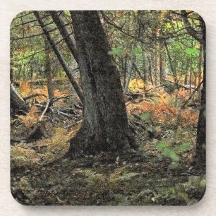 Posavasos Autumn forest scene