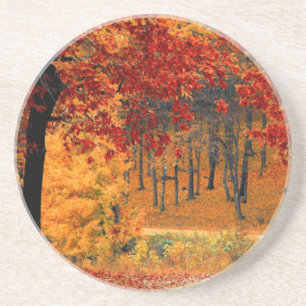 Posavasos Autumn Road