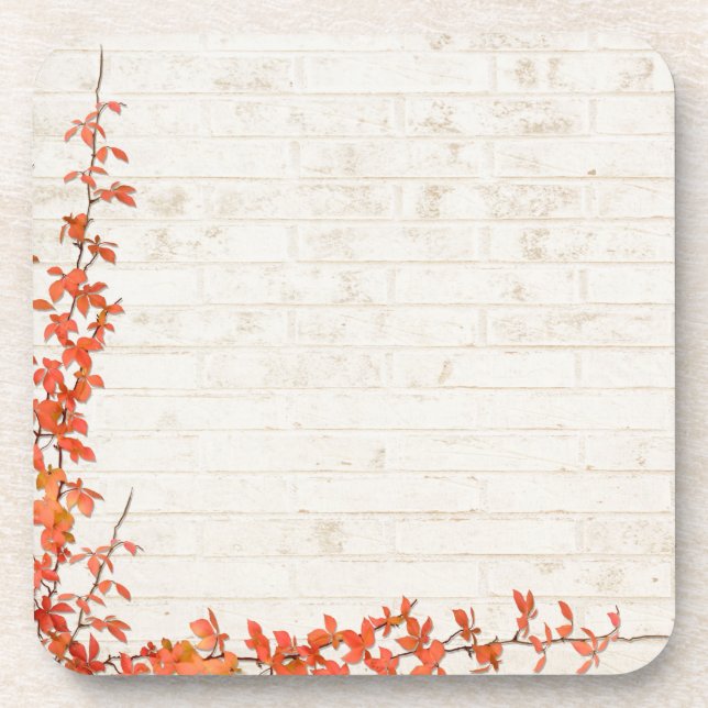 Posavasos Autumn Vine (Frente)