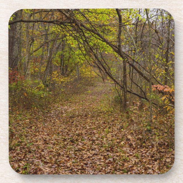 Posavasos Autumn Walkway (Frente)