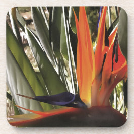 Posavasos Ave del Paraíso Strelitzia Reginae Acrílico Painti