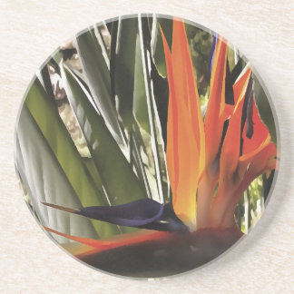 Posavasos Ave del Paraíso Strelitzia Reginae Acrílico Painti