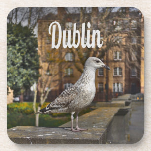 Posavasos Ave irlandesa en Dublín en la pared de ladrillos