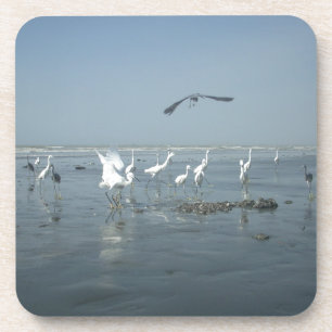 Posavasos Aves blancas presentan hakuna matata.JPG