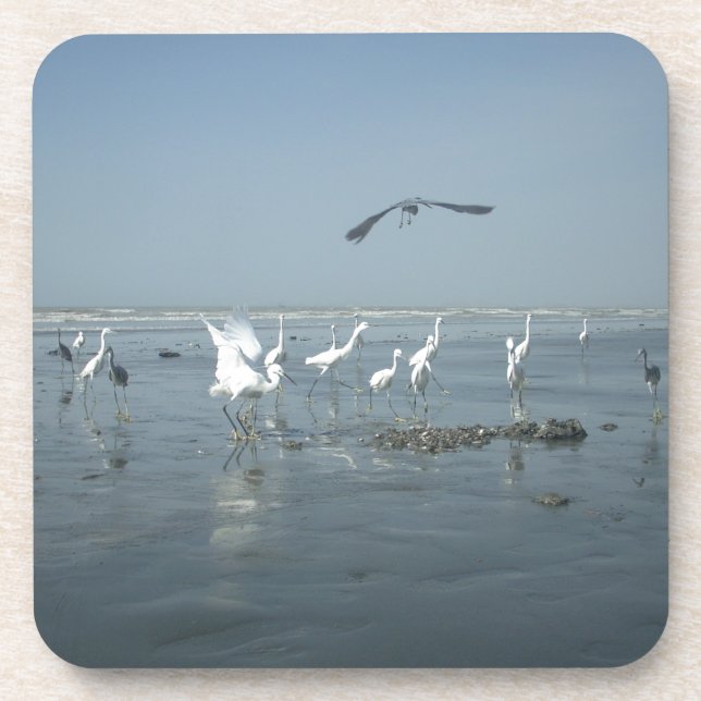 Posavasos Aves blancas presentan hakuna matata.JPG (Frente)