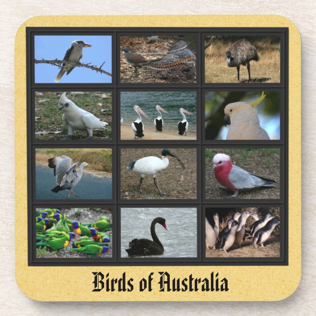 Posavasos Aves de Australia (Frente)