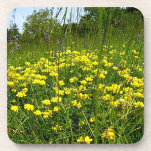 Posavasos Aves de pie Trefoil Duras Astras Plásticas