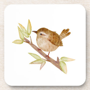 Posavasos Aves de Wren