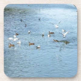 Posavasos Aves En El Río De Verano