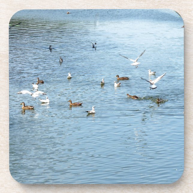 Posavasos Aves En El Río De Verano (Frente)
