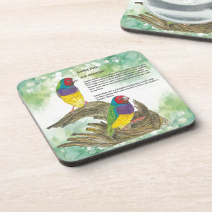 Posavasos Aves Fincas Gouldian Pintadas A Mano Coloridas