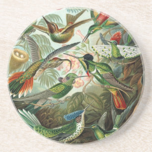 Posavasos Aves Haeckel