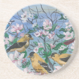 Posavasos Aves Nueva Colección Arte Original Pintado A Mano