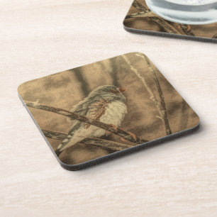 Posavasos aves observadoras ramas de árboles salvajes