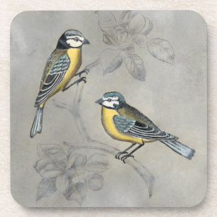 Posavasos Aviario silencioso  Pareja de pájaros
