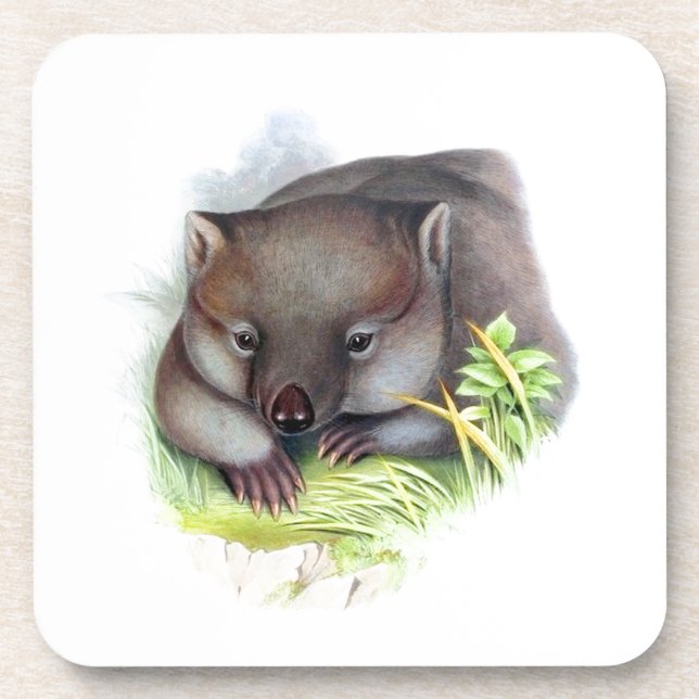 Posavasos Awesomely lindo animal australiano wombat vintage (Frente)